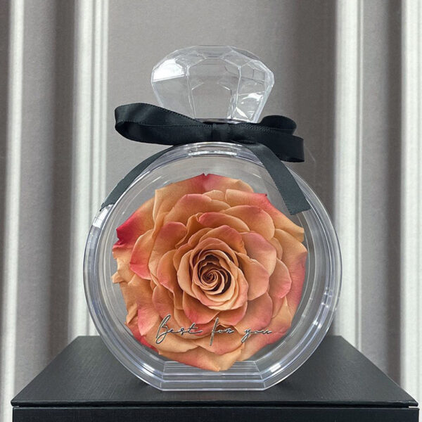 Natural Eternal Flower Ornaments with Transparent Cover - Image 3